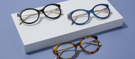 Evaluating Prices: How Much Do Glasses Cost?