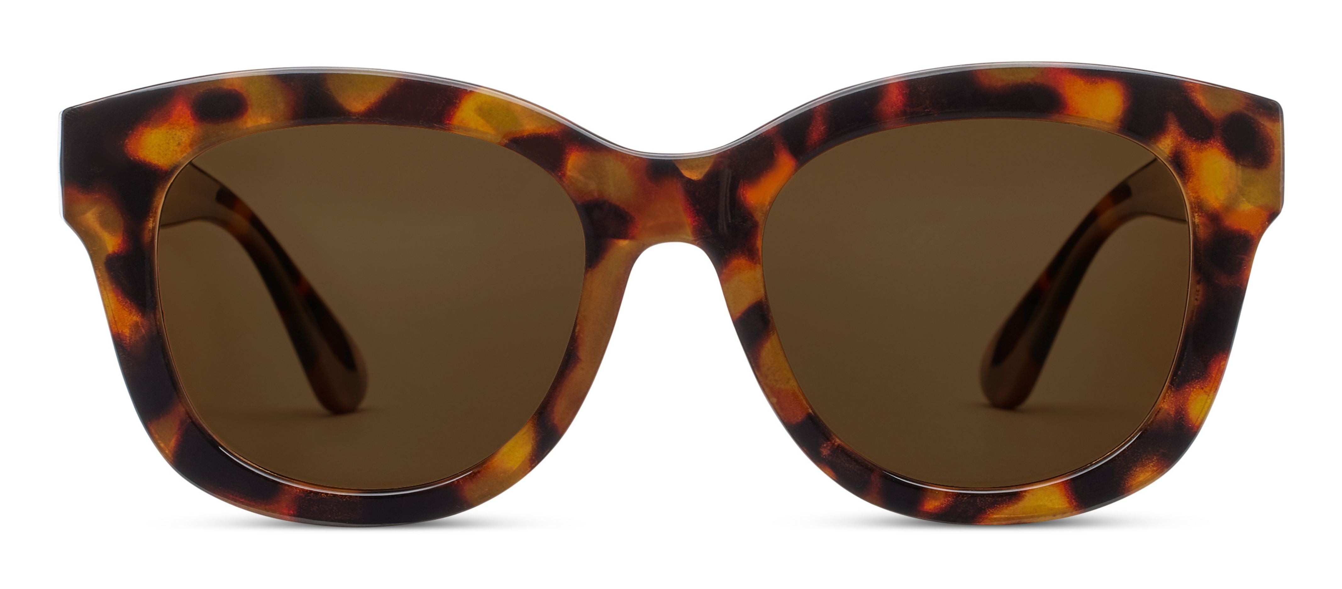 2.50 sunglasses new arrivals