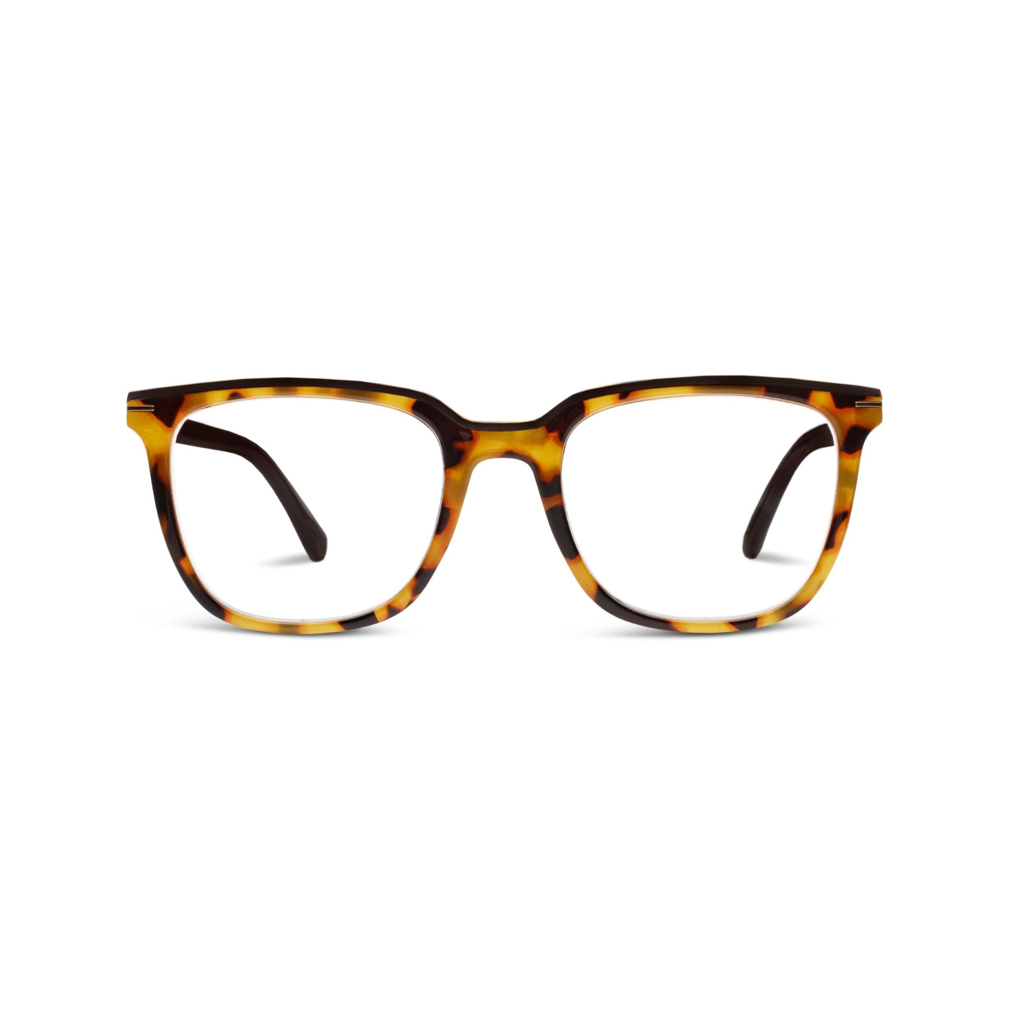 Dante (Blue Light) - Tokyo Tortoise/Black / Reading / 2.25 - Peepers by