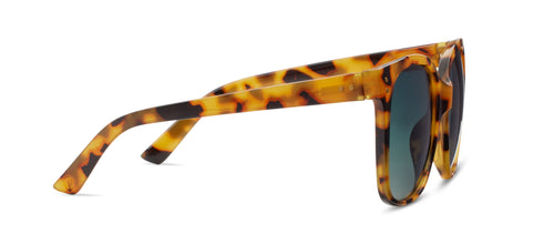 Pool Side Pedigree Gold Star-Embellished Luxury Sunglasses Persol PO1019S with Gold Frame and Blue Lenses | Persol® US main image 4
