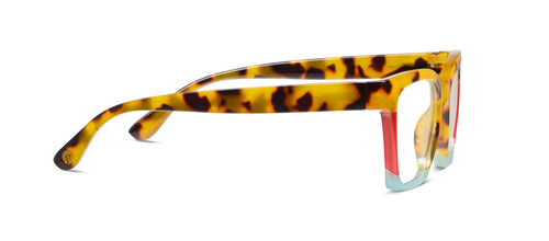 Tokyo Tortoise Colorblock