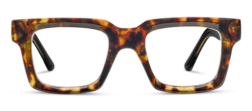 Tortoise/Black