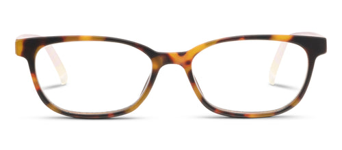 Tortoise/Summer Stripe