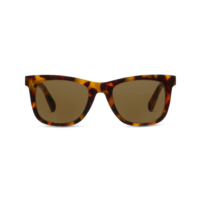Sunglasses — Harbor