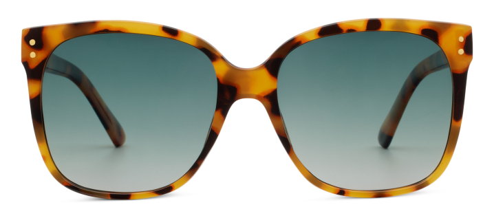 Frames representing Sunglasses category