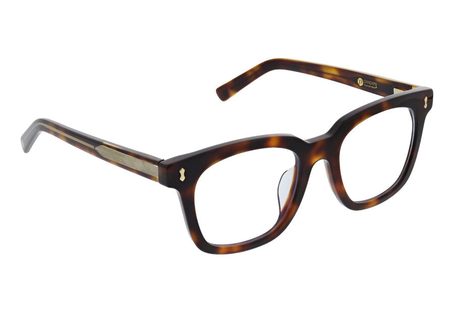 Lakefront acetate readers in Tortoise, angle view