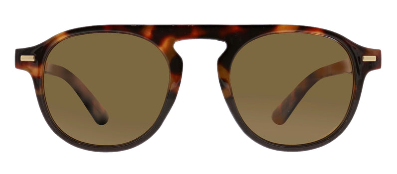 Largest image of Neptune