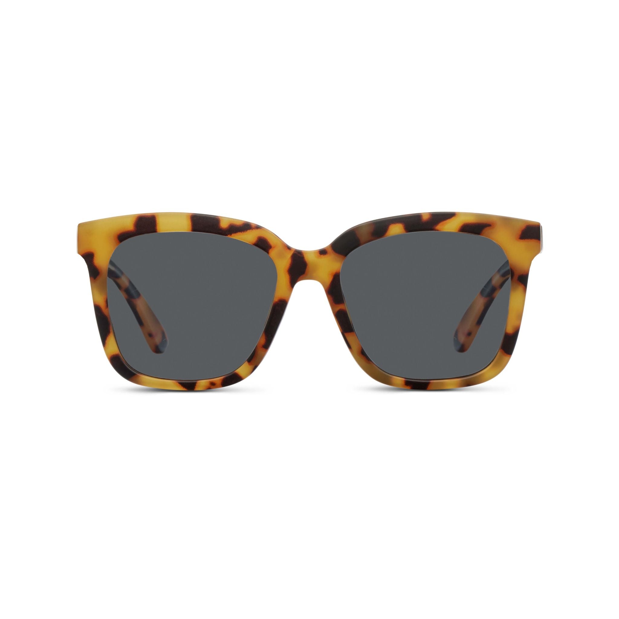 Class sunglasses top