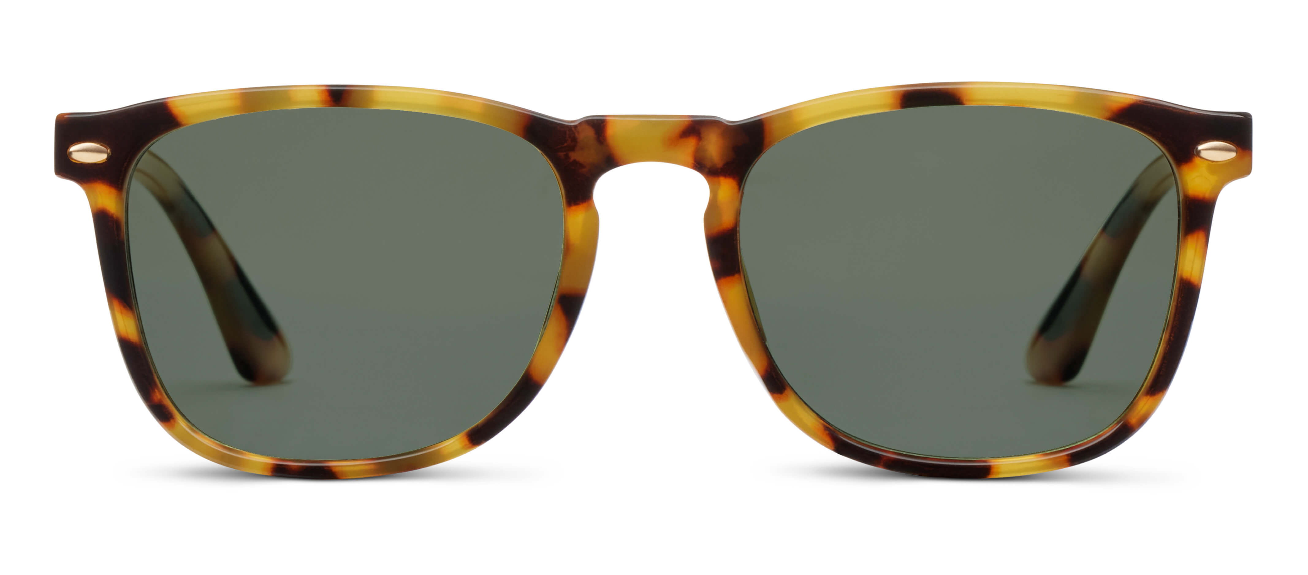 Solstice sunglasses headquarters hot sale